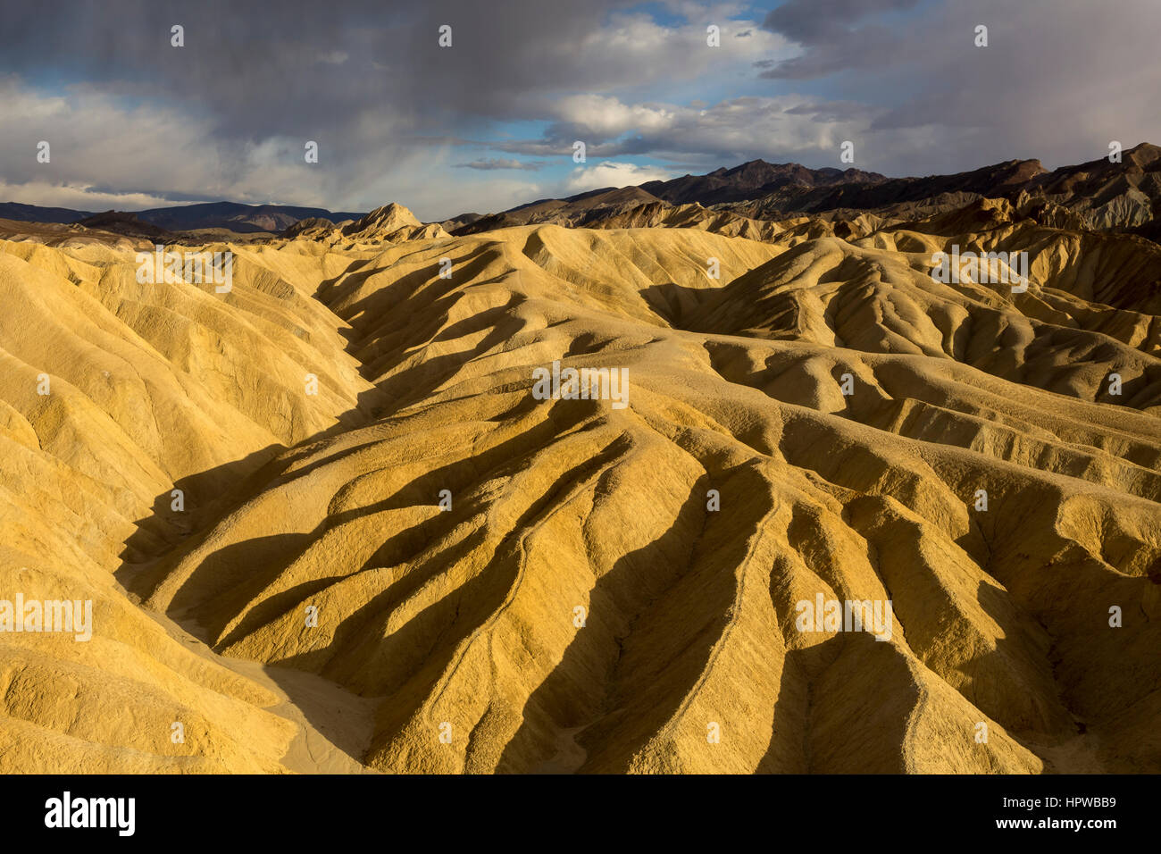 Zabriskie Point Zabriskie point, Death Valley National Park, Death Valley, California, United States, Amérique du Nord Banque D'Images