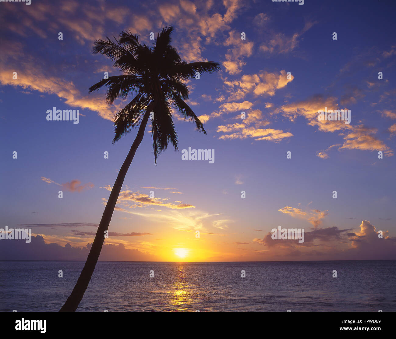 Coucher du soleil tropical, plage de Darkwood, paroisse de Saint Mary's, Antigua, Antigua et Barbuda, Lesser Antilles, Caribbean Banque D'Images