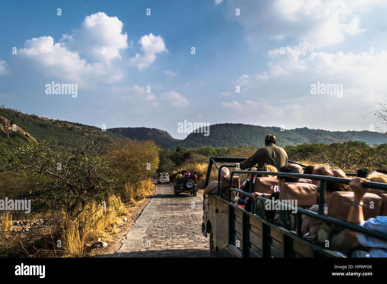 L'approche touristique à voir Royal tigre du Bengale et d'autres animaux sauvages à l'aide de la Réserve de tigres de Ranthambore véhicules forestiers Banque D'Images