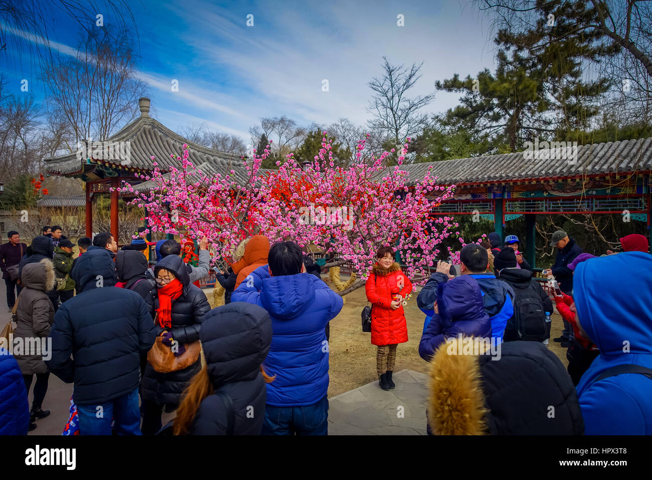 BEIJING, CHINE - 29 janvier 2017 : fête du nouvel an festival en temple de la terre, beaucoup de décorations rouges, musique et théâtre, actes t Banque D'Images