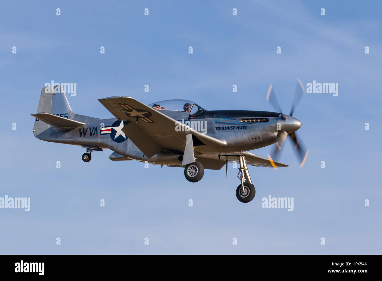 P-51 Mustang fighter dans les escadres d'FreedomTour historique de la DEUXIÈME GUERRE MONDIALE, des avions de guerre à l'époque de l'aéroport de Venise à Venise en Floride Banque D'Images