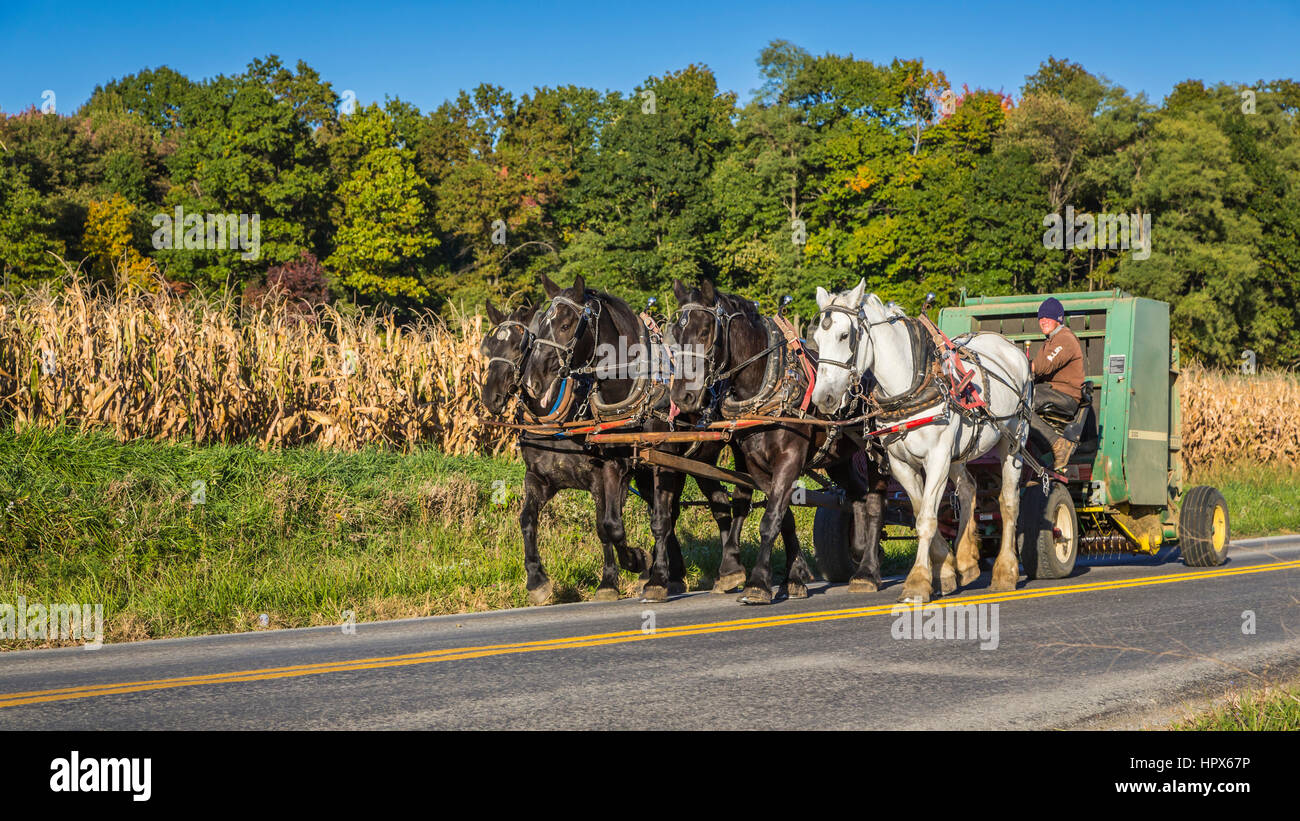 Une ramasseuse-presse à foin tiré par des chevaux le long de la route dans la campagne près de Kidron, Ohio, USA. Banque D'Images