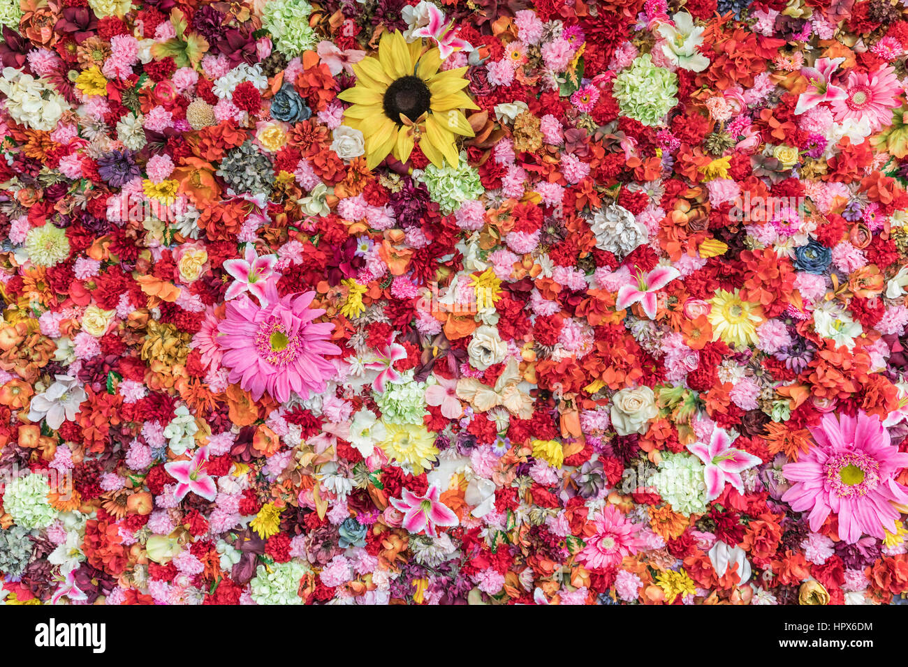 Arrière-plan de couleur florale. Beaucoup de fleurs disposés dans le substrat. belles fleurs de fond de scène de mariage. Le concept de la couleur, la structure flo Banque D'Images