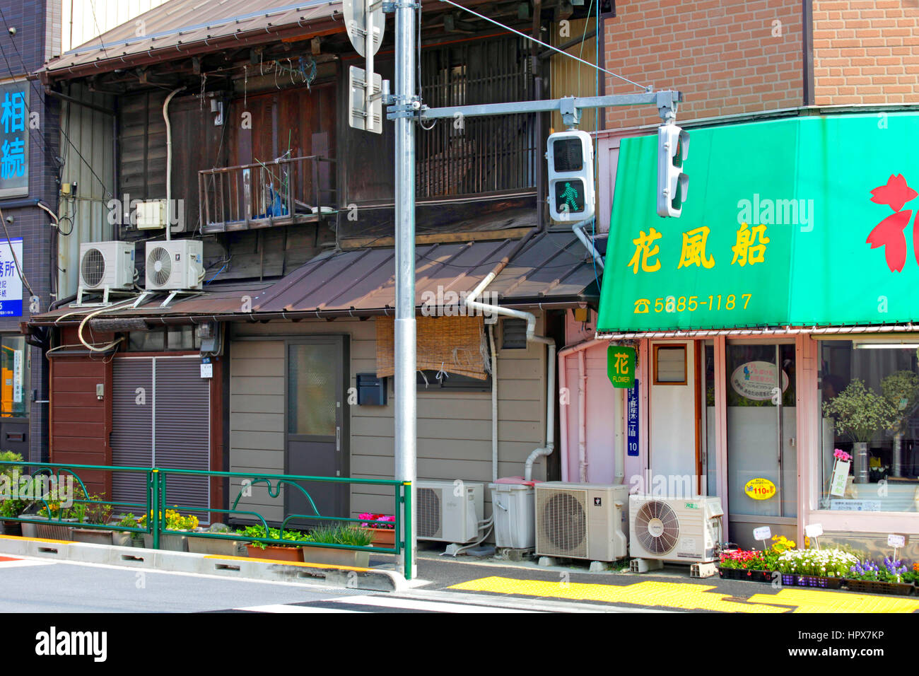 Fleuriste local et maisons de ville dans Uenosakuragi Taito-ku Tokyo JAPON Banque D'Images
