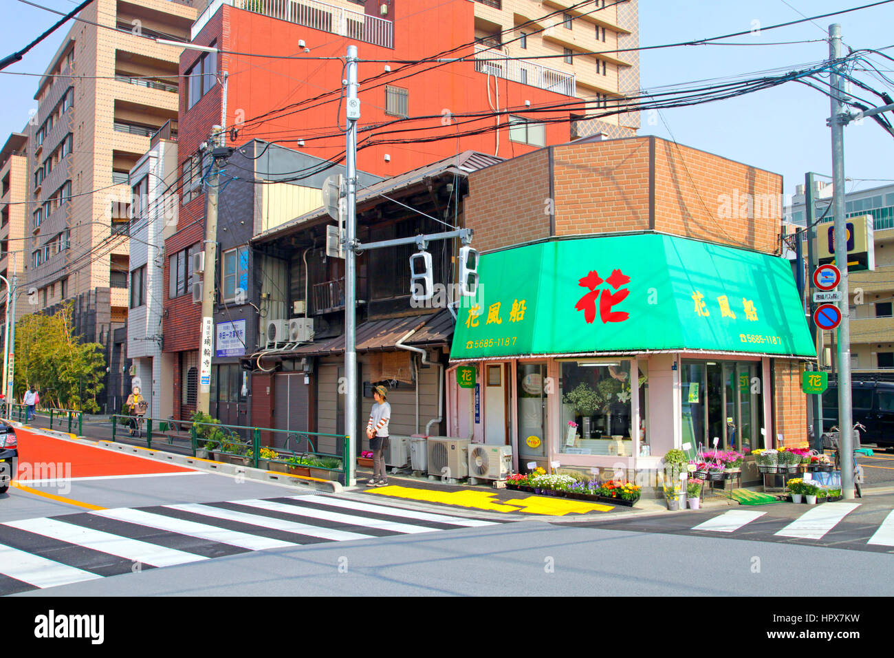 Fleuriste local et maisons de ville dans Uenosakuragi Taito-ku Tokyo JAPON Banque D'Images
