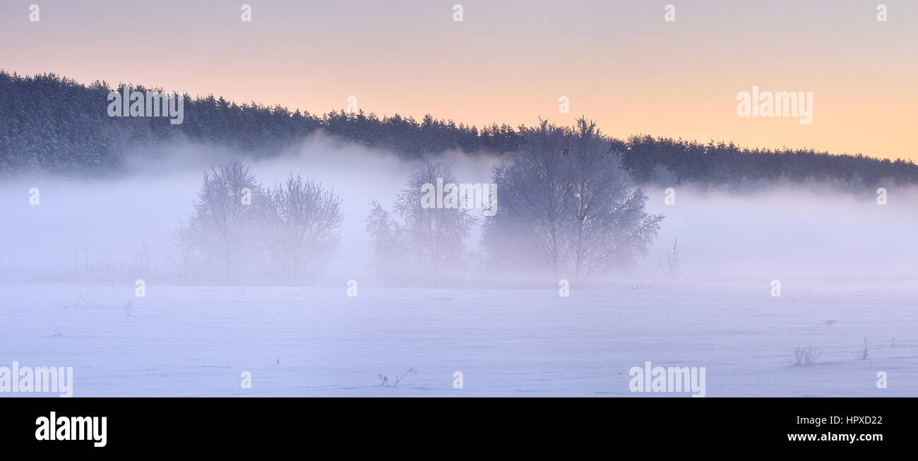 Lever du soleil d'hiver dans la région de frosty matin. Au-dessus du brouillard neige blanche. Les arbres blancs dans le brouillard. Banque D'Images