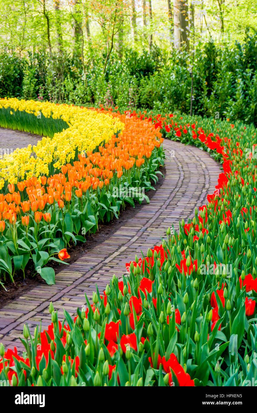 Jardin fleuri. Magnifique parc jardin au printemps. beau jardin de fleurs Banque D'Images