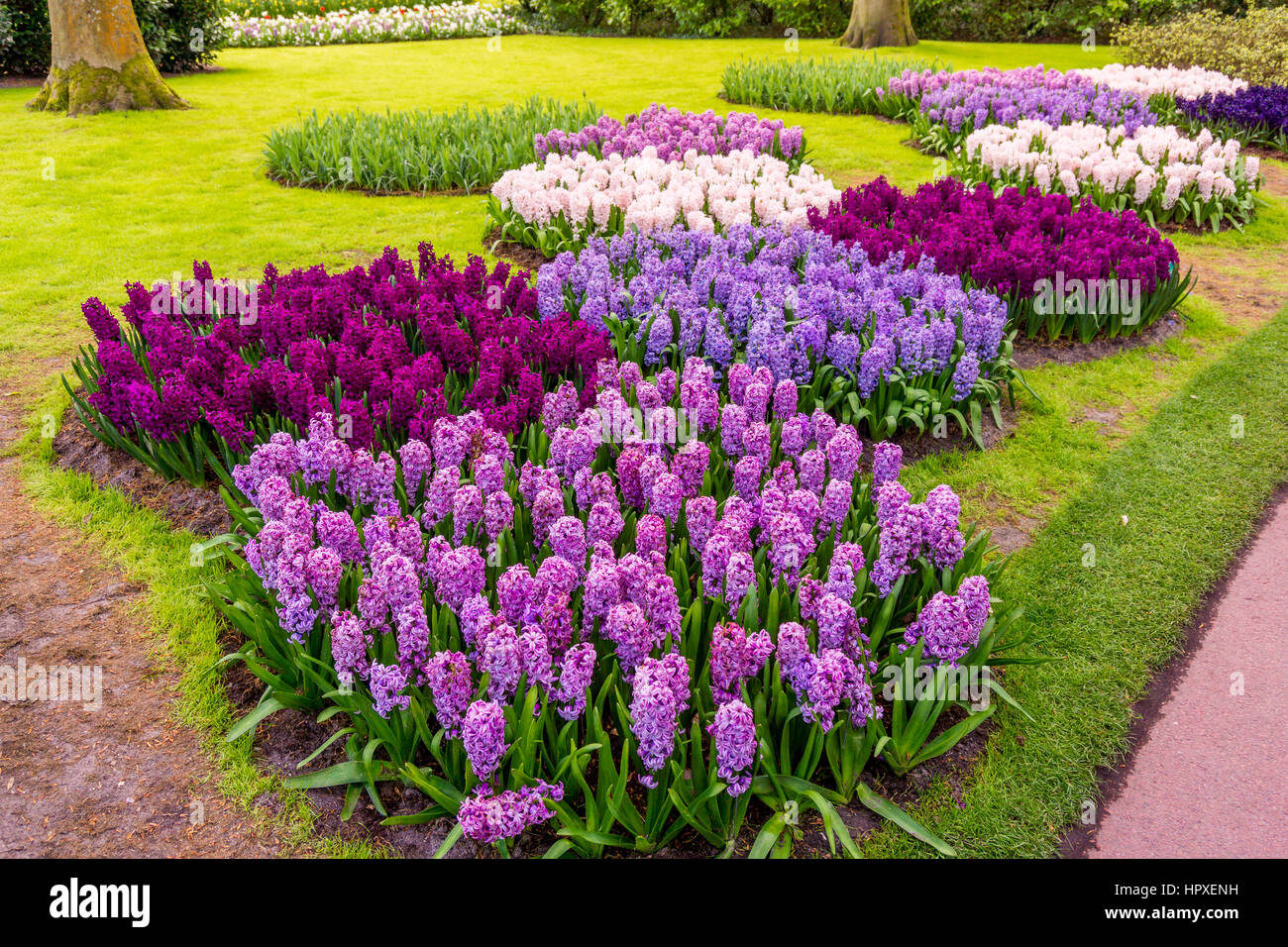 Jardin fleuri. Magnifique parc jardin au printemps. beau jardin de fleurs Banque D'Images