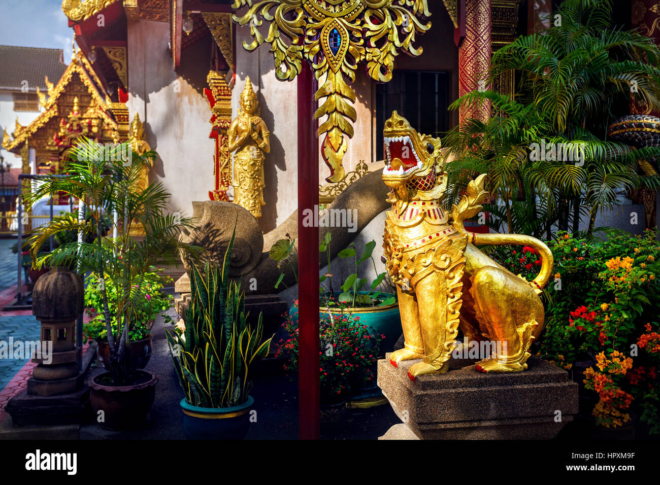 Statue de dragon d'or dans un temple bouddhiste de Chiang Rai, Thaïlande Banque D'Images