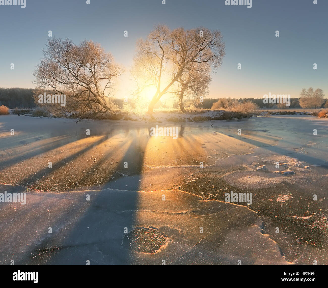 Soleil d'hiver lumineux. Soleil sur la glace. Sunny le matin de Noël. Noël arrière-plan coloré. Banque D'Images