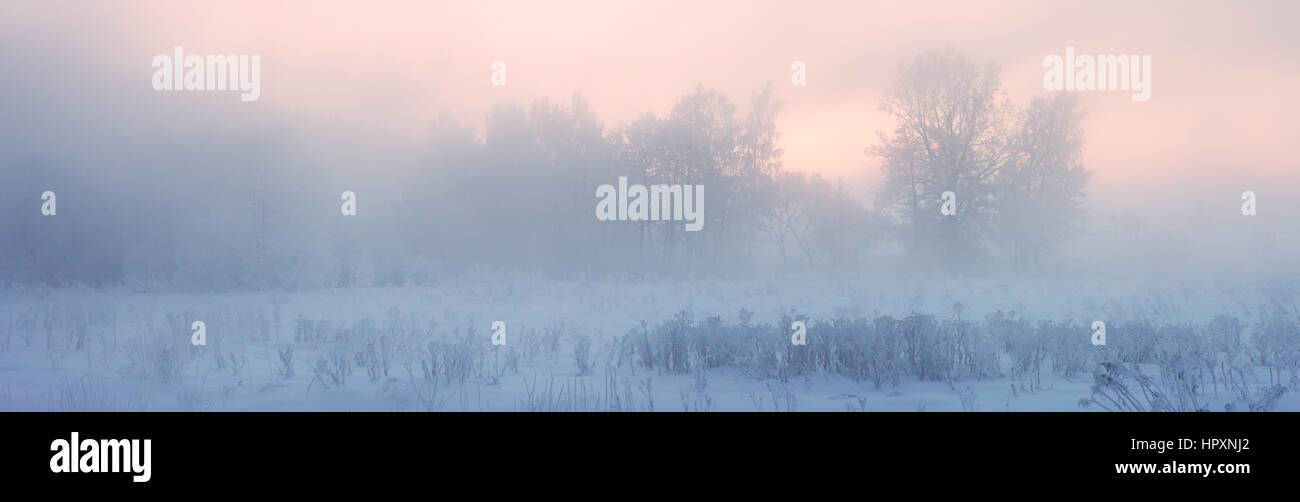 Paysage panoramique d'hiver brumeux. Misty le matin de Noël. Au-dessus du brouillard neige blanche. Banque D'Images