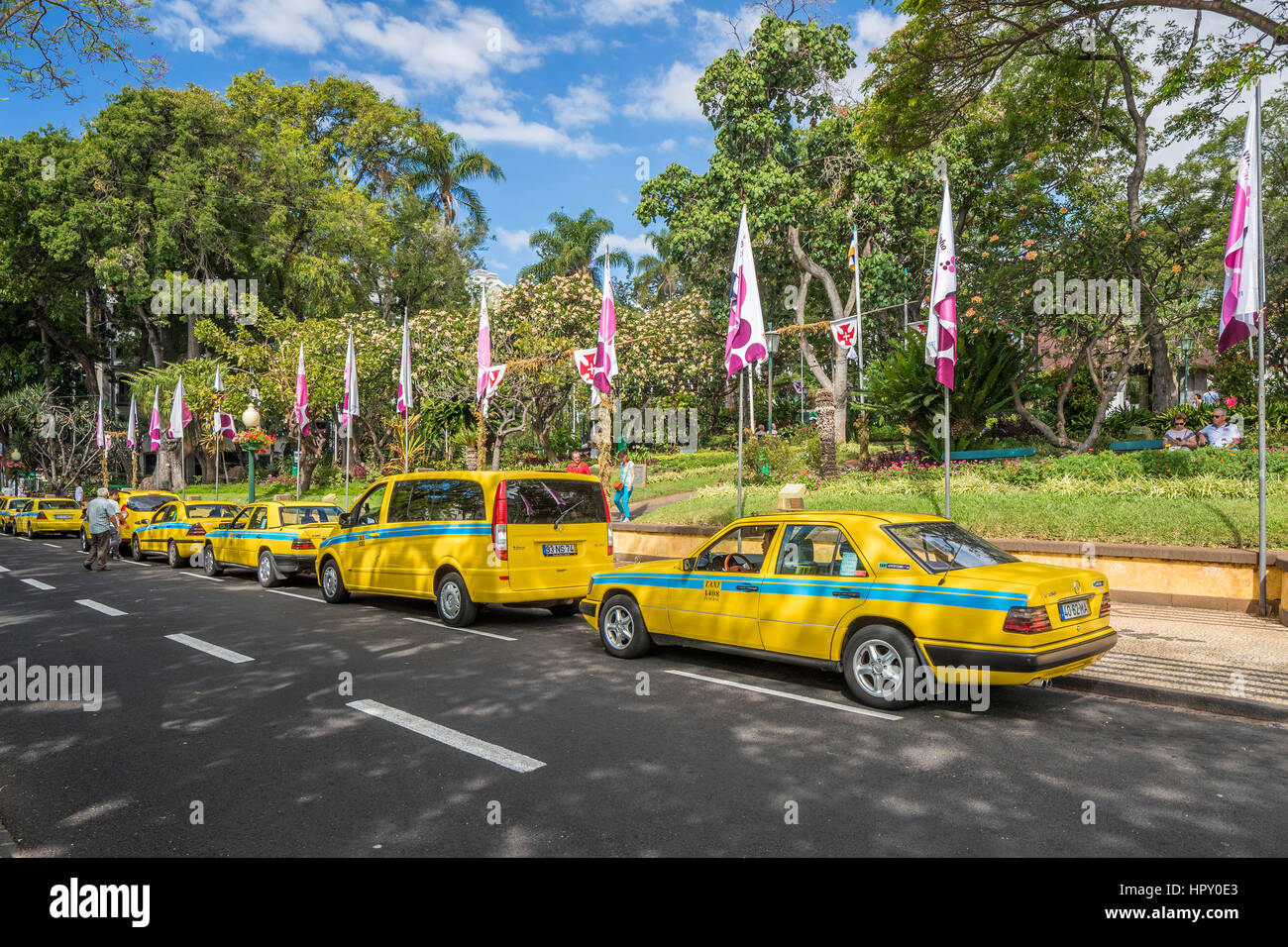 Des taxis stationnés le long jardin municipal, Av. Arriaga, Funchal, Madère, Portugal. Banque D'Images