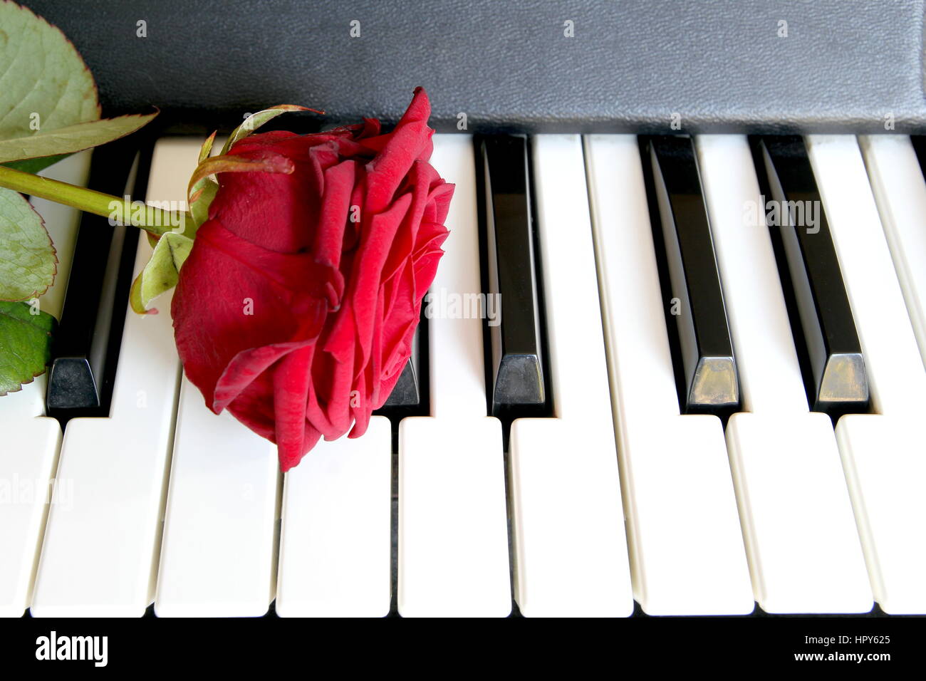Rose rouge sur clavier de piano. Chanson d'amour, concept, musique  romantique Photo Stock - Alamy
