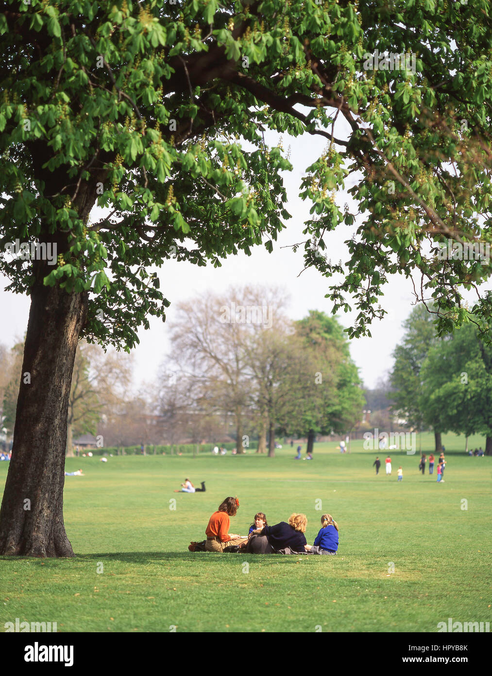 Le Parc de Greenwich, Greenwich, London Borough of Greenwich, Greater London, Angleterre, Royaume-Uni Banque D'Images