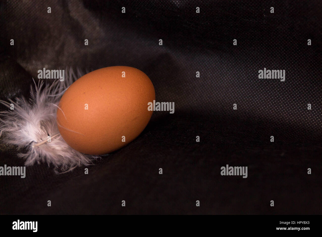 Les oeufs de poule et de plumes sur fond noir. Banque D'Images