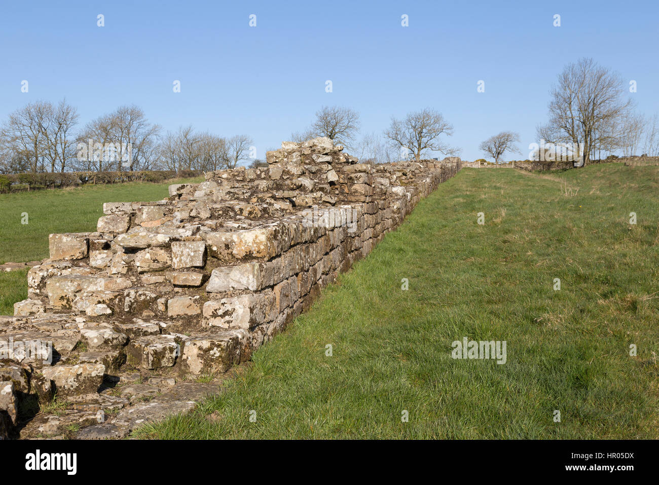 Mur d'Hadrien : un tronçon de mur romain près de charrettes noir, entre le calcaire et fort romain de Chesters Banque D'Images