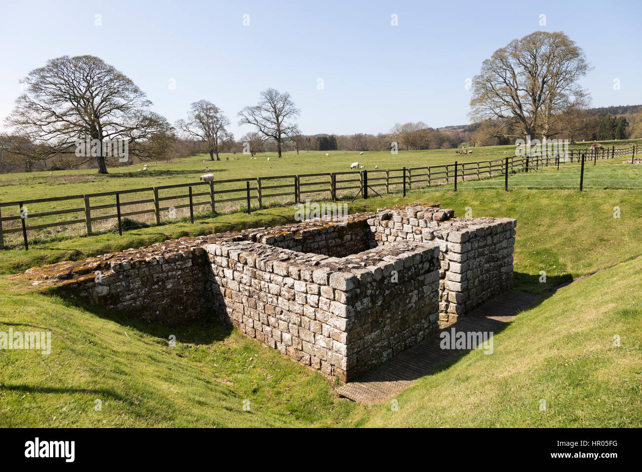 Mur d'Hadrien : fort romain de Chesters (Cilurnum ou Cilurvum) - Les vestiges de la tour de l'intervalle du sud-est Banque D'Images