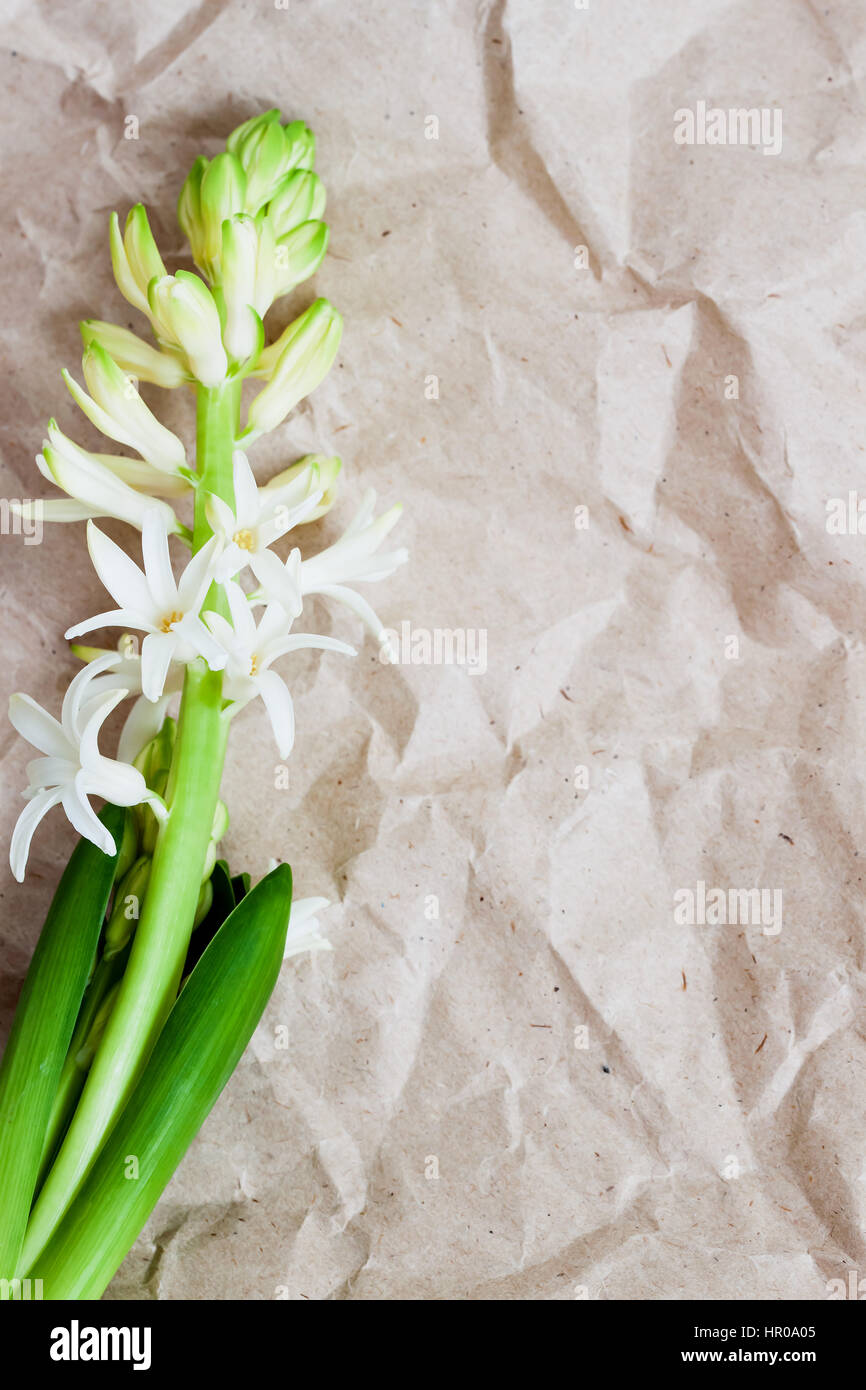 Jacinthe fleurs papier Kraft froissé, texture background close-up. Grunge vieille surface de papier, style rustique. Pour motif romantique moderne, le papier peint ou ba Banque D'Images