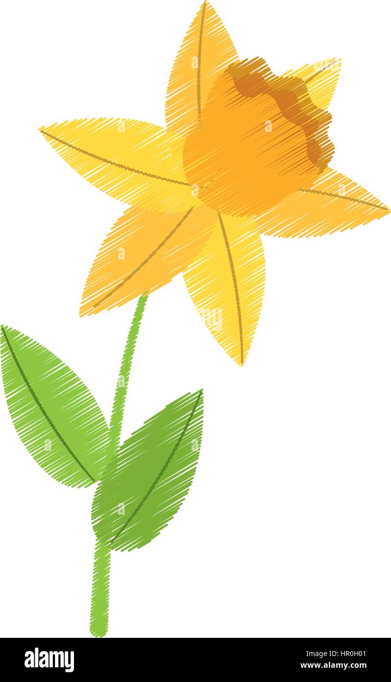 Fleur Jonquille Dessin Floral Printemps Image Vectorielle Stock Alamy