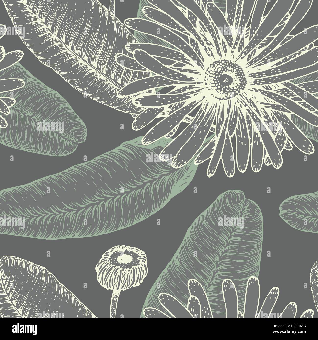 Hand drawn vector seamless pattern avec des fleurs. Illustration Floral Illustration de Vecteur