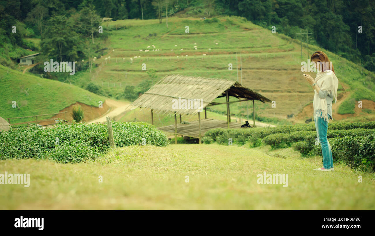 Portrait de l'Asie de belles femmes sur la plantation de thé à la montagne doi angkhang, Chiangmai : Thaïlande Banque D'Images