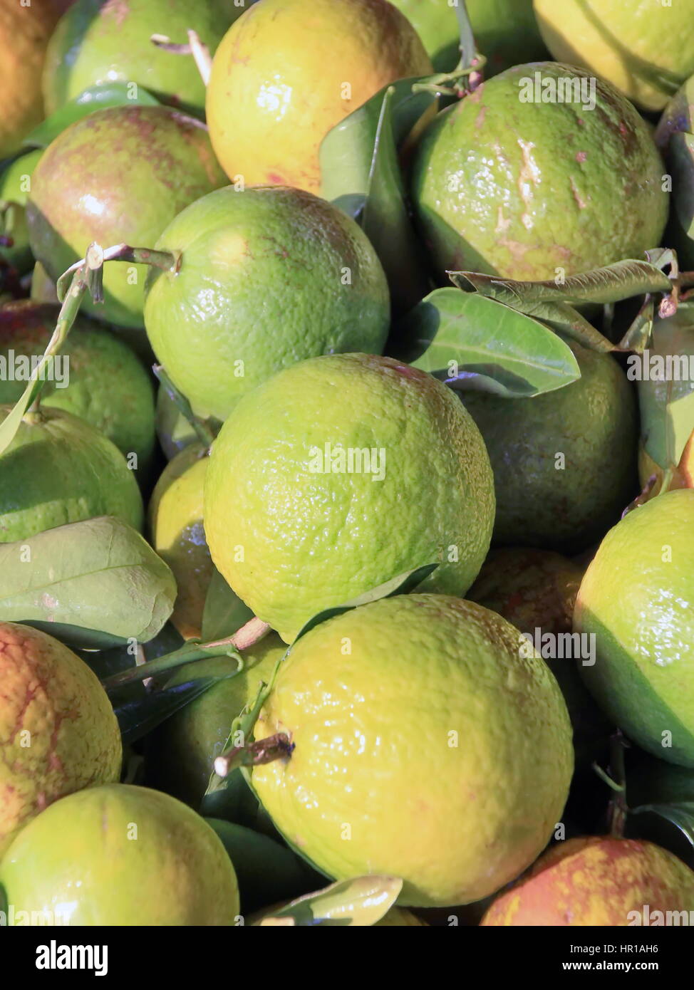 Orange douce douce en thaï Marché local Banque D'Images Orange douce douce en thaï Marché local Banque D'Images