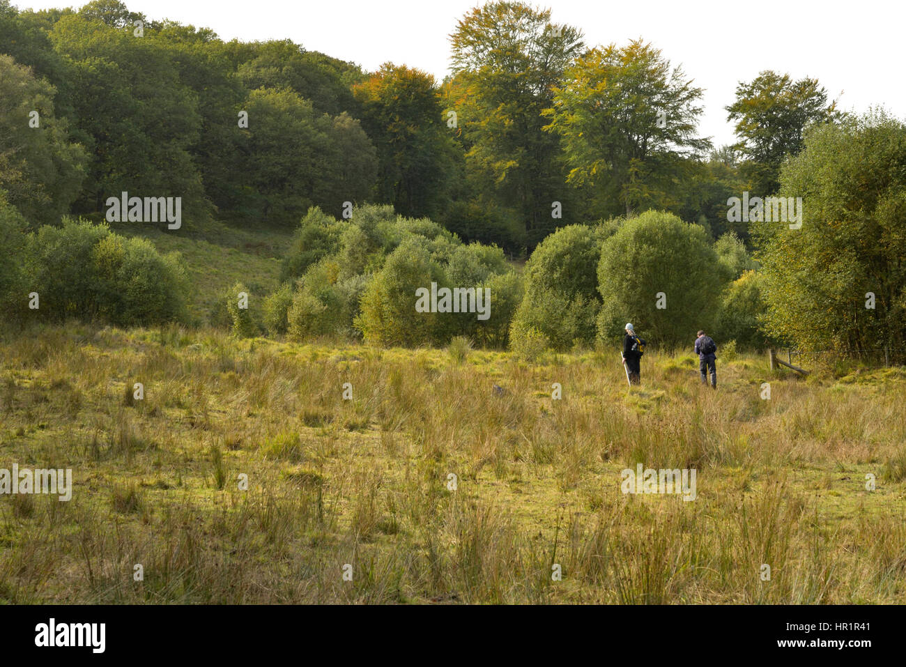 Vicarage Meadows Nature Reserve Banque D'Images
