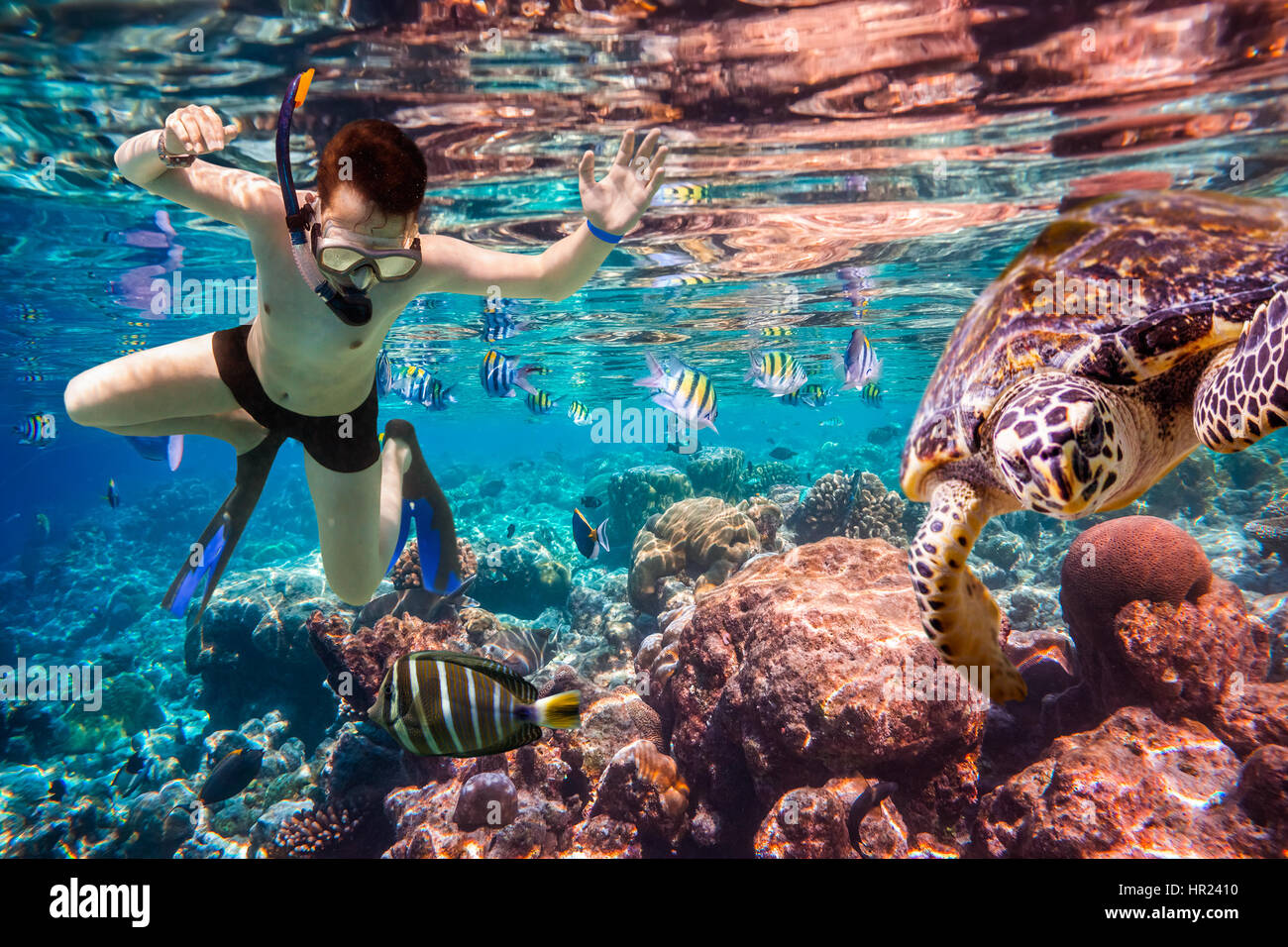Snorkeler diving le long de la barrière de cerveau. Les récifs coralliens de l'océan Indien aux Maldives. Banque D'Images