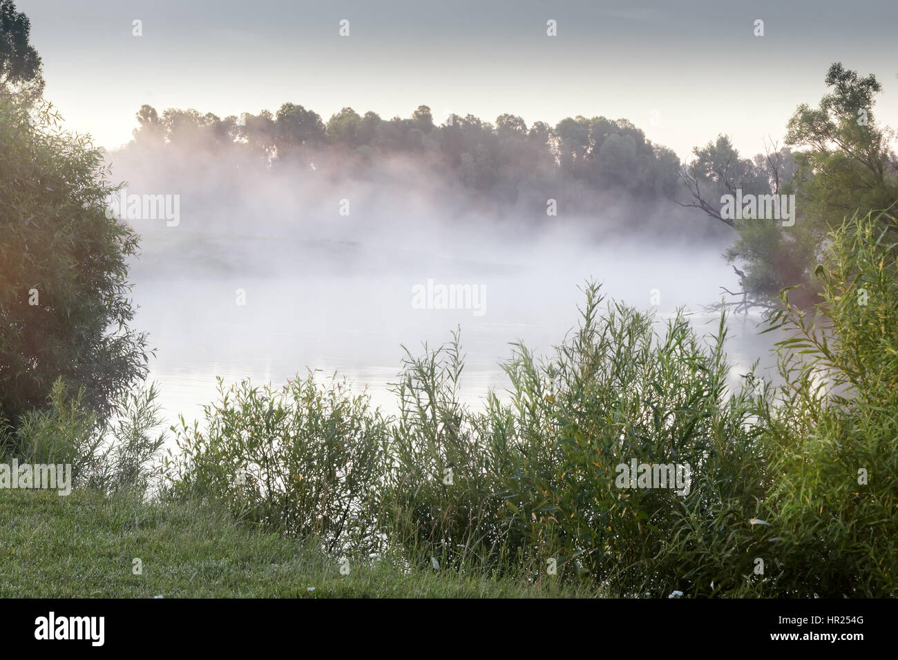 Belle rivière calme avec la brume sur la surface de l'eau à l'aube par la lumière du soleil levant. Banque D'Images