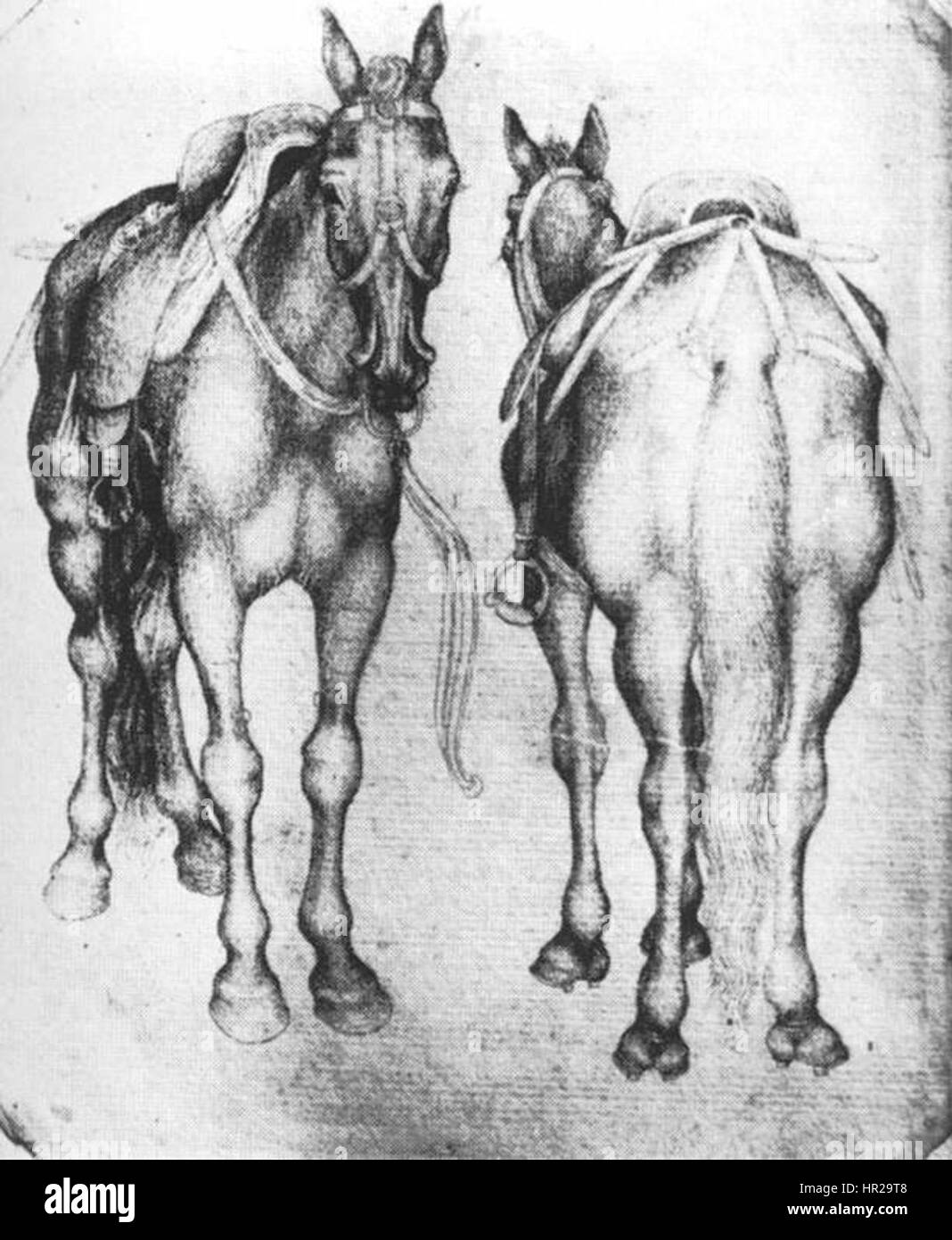 *Horses* de Pisanello est une étude des chevaux, mettant en valeur les compétences de l'artiste dans la capture du mouvement et de l'anatomie. L'œuvre est connue pour sa représentation détaillée et dynamique des chevaux, typique du style de Pisanello au début de la Renaissance. Banque D'Images