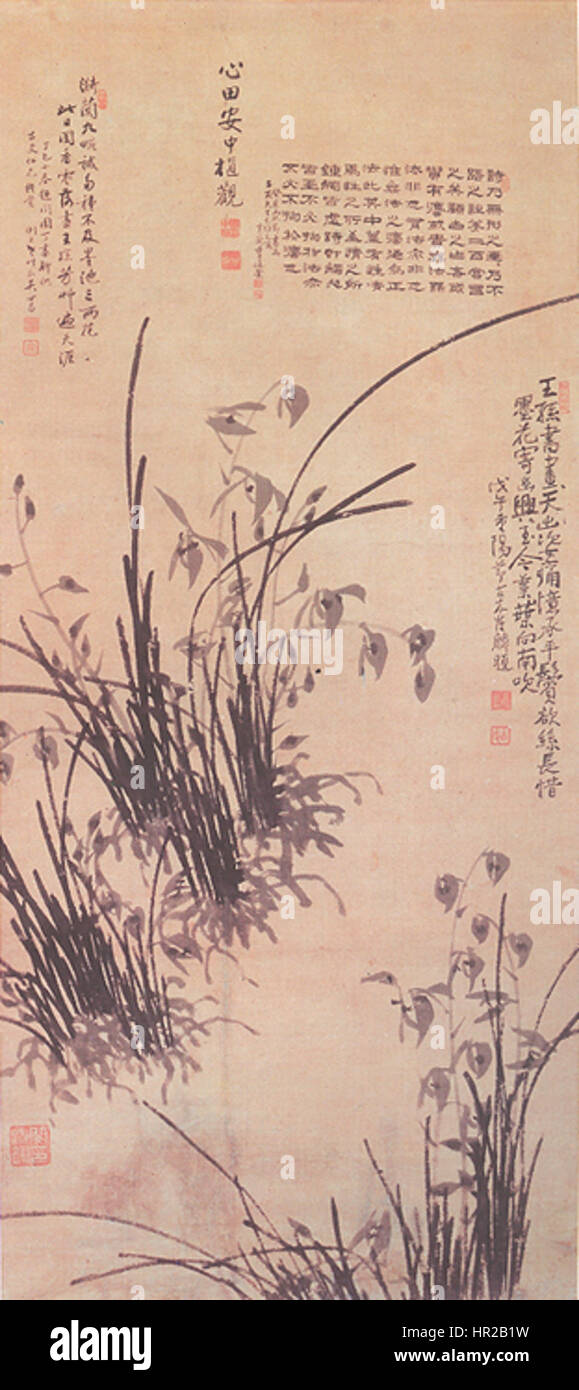 Orchid les racines exposées par Min Yeong-ik Banque D'Images