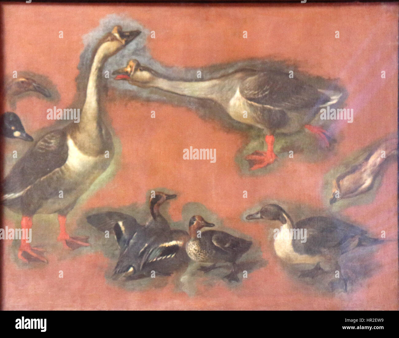 La peinture de Peter Boel 'Canards' (canards) représente un groupe de canards dans un cadre naturel tranquille. Connu pour son attention méticuleuse aux détails, Boel capture l'apparence réaliste des canards, mettant en valeur leurs plumes vibrantes et la beauté de la nature dans un environnement calme et serein. Banque D'Images La peinture de Peter Boel 'Canards' (canards) représente un groupe de canards dans un cadre naturel tranquille. Connu pour son attention méticuleuse aux détails, Boel capture l'apparence réaliste des canards, mettant en valeur leurs plumes vibrantes et la beauté de la nature dans un environnement calme et serein. Banque D'Images