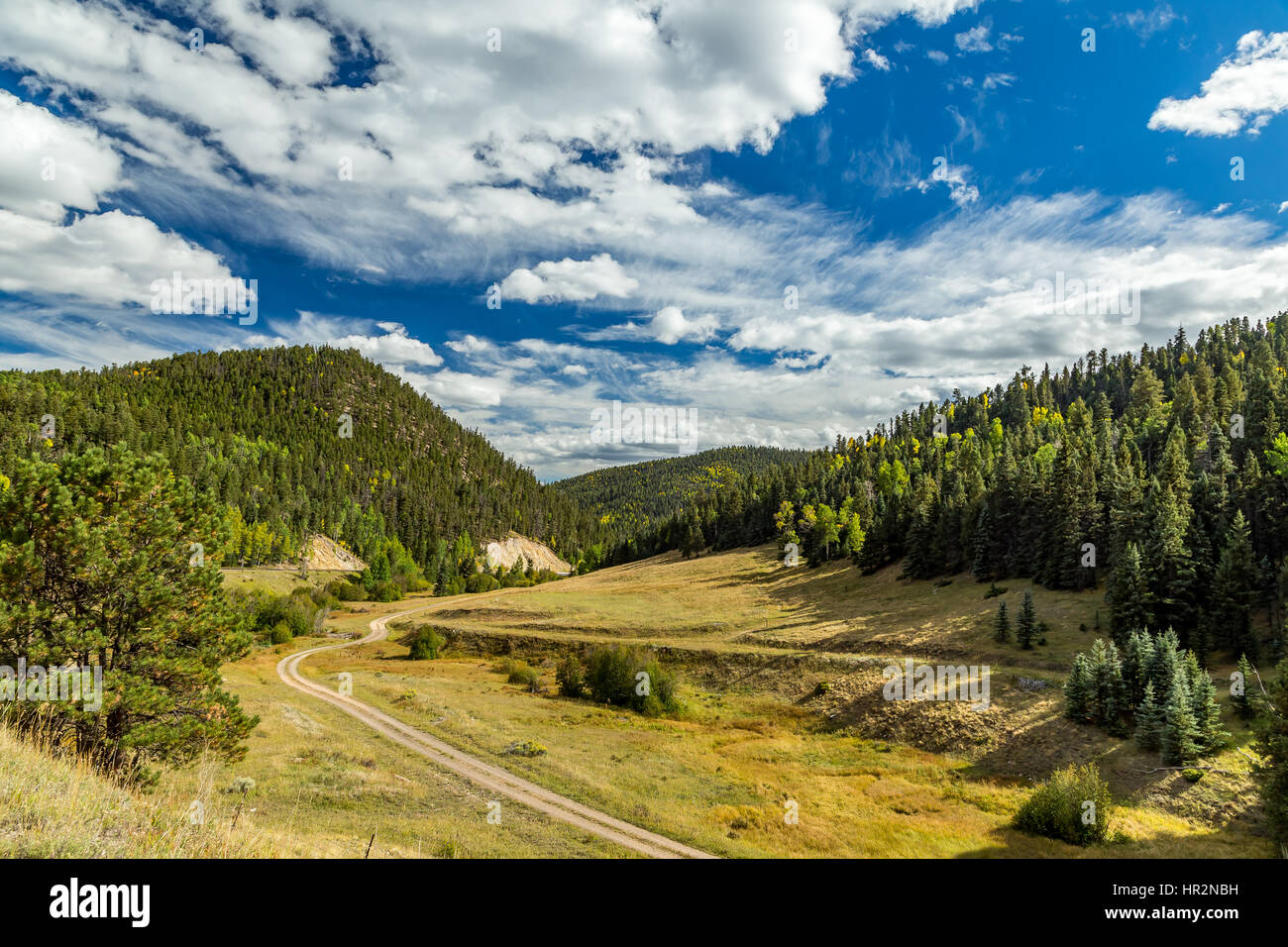 Le cercle enchanté Scenic Byway est un 84 km Nouveau Mexique Scenic Byway et forêt National Scenic Byway autour de mont Wheeler situé dans le nord de N Banque D'Images