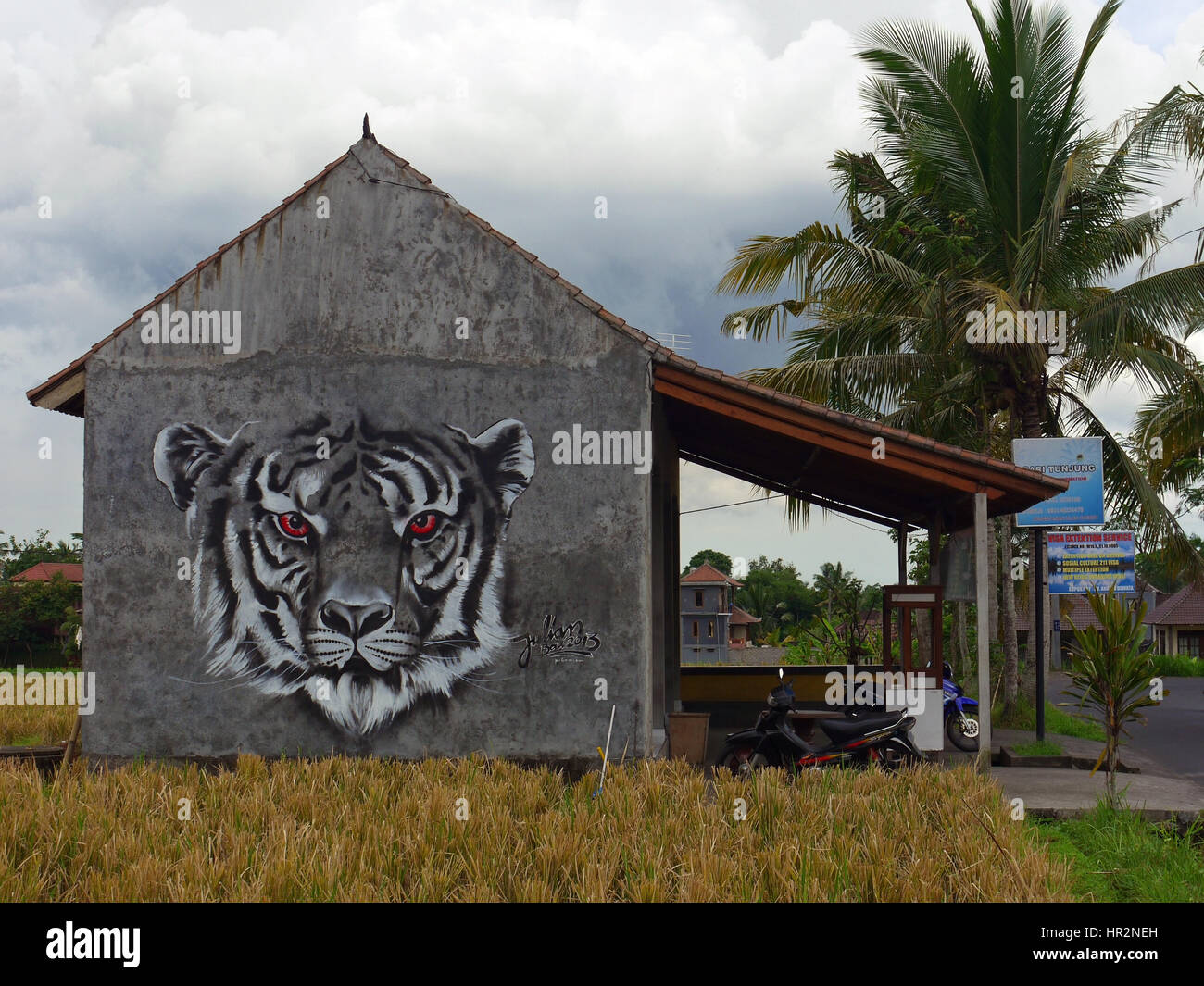 Tête de tigre - graffiti sur le mur par Julian Vogel, street art. Bali, Indonésie Banque D'Images
