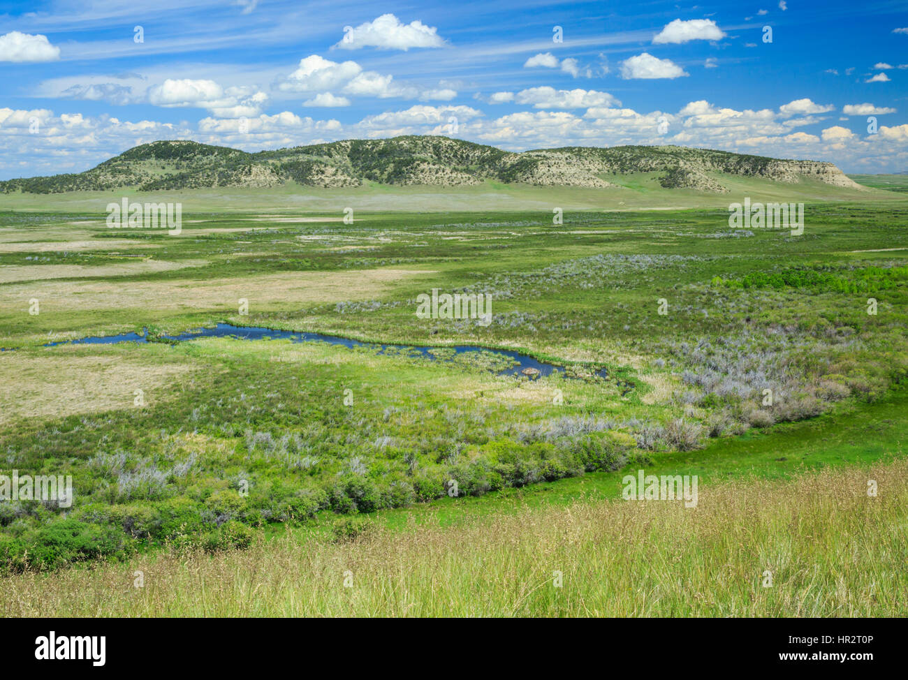 terres humides de la réserve naturelle de marais de pink butte près de choteau, montana Banque D'Images