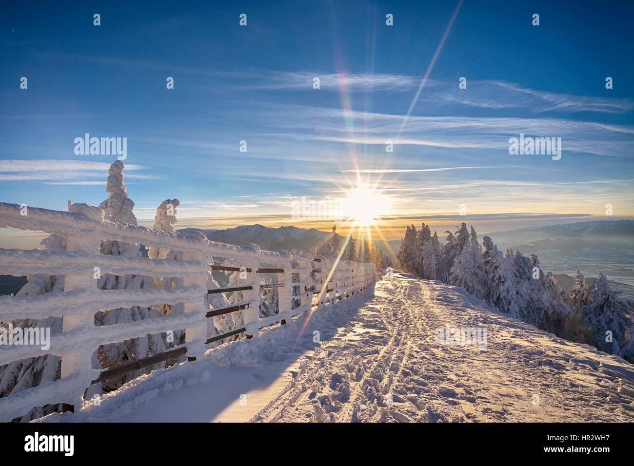 Coucher du soleil en hiver forêt Banque D'Images