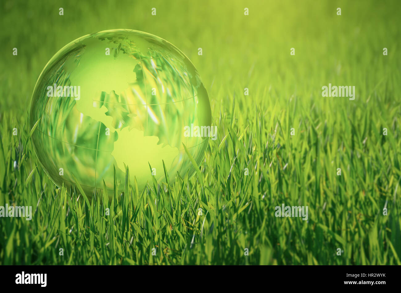 Globe se trouve sur l'herbe verte. Banque D'Images