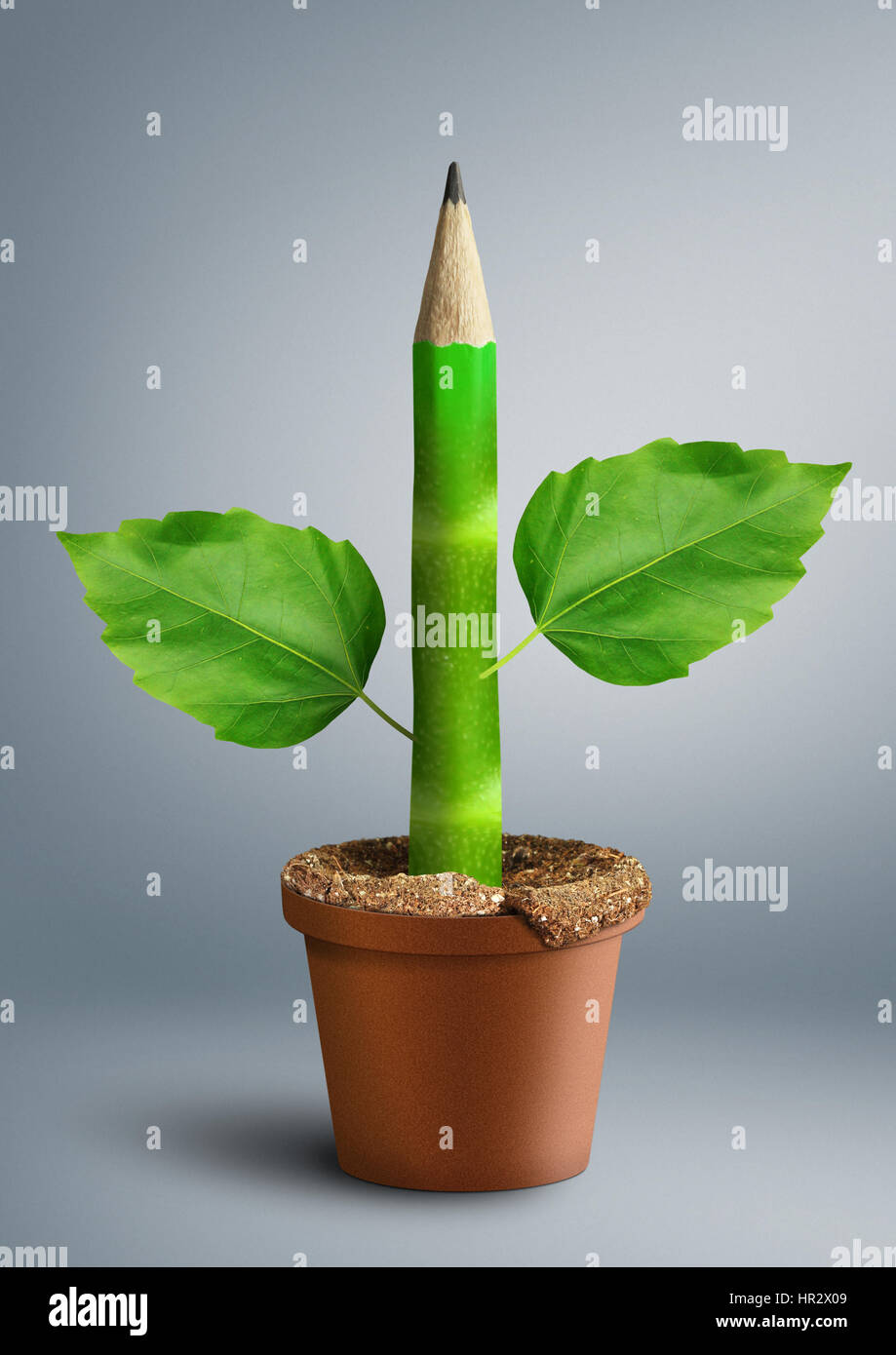 Concept créatif de l'éducation, un crayon avec des feuilles comme stem Banque D'Images