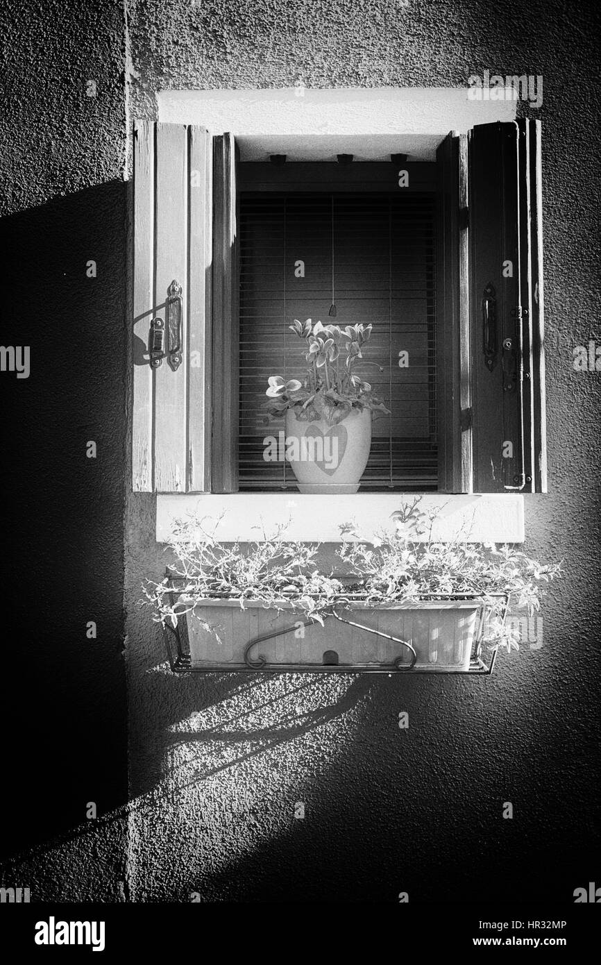 Fenêtre avec un pot de fleurs sur l'île de Burano, Venise, Italie - modifié numériquement Banque D'Images