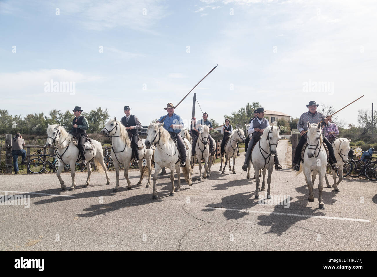 La Camargue : une destination de choix pour le mois de février - Cheval Magazine