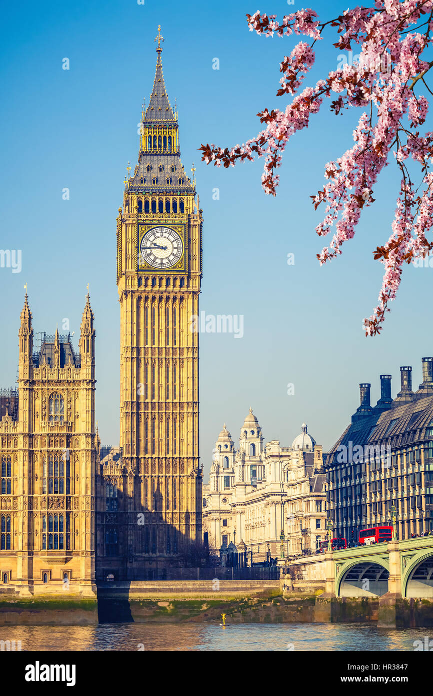 Big Ben à Londres au printemps Banque D'Images