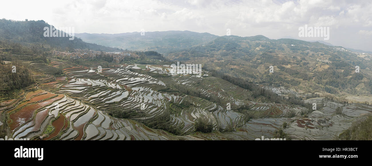 Les terrasses de riz de YuanYang, Yunnan en Chine, l'un des derniers sites du patrimoine mondial de l'UNESCO Banque D'Images