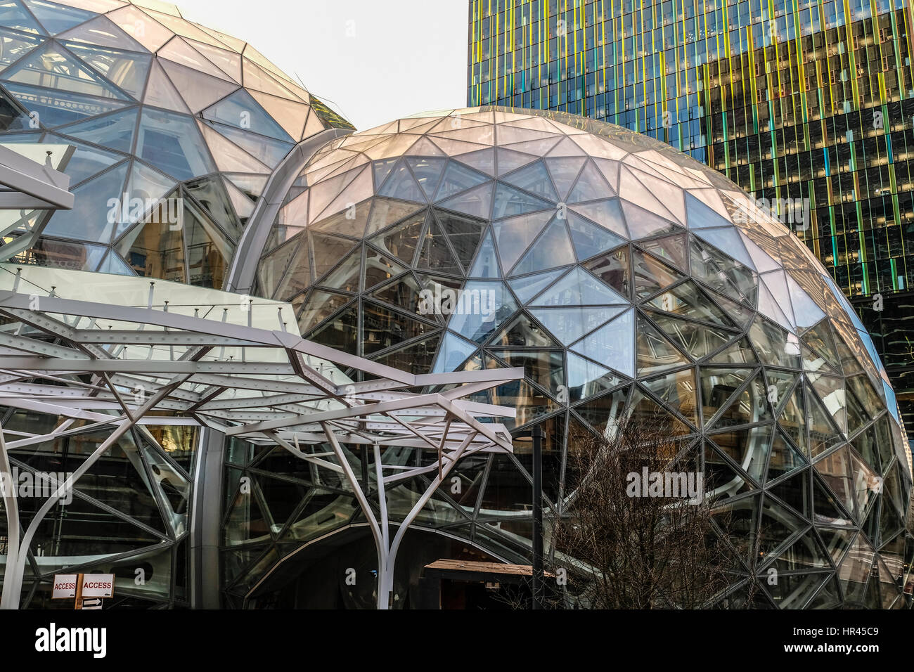 Amazon dômes Sphère en construction Banque D'Images
