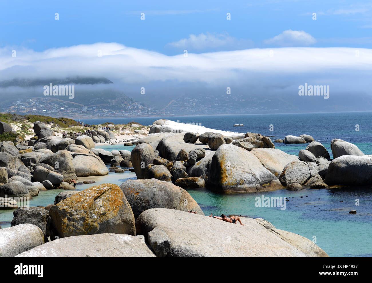 Pingouins africains profiter du soleil sur la plage de Boulders, Western Cape, Afrique du Sud. Banque D'Images