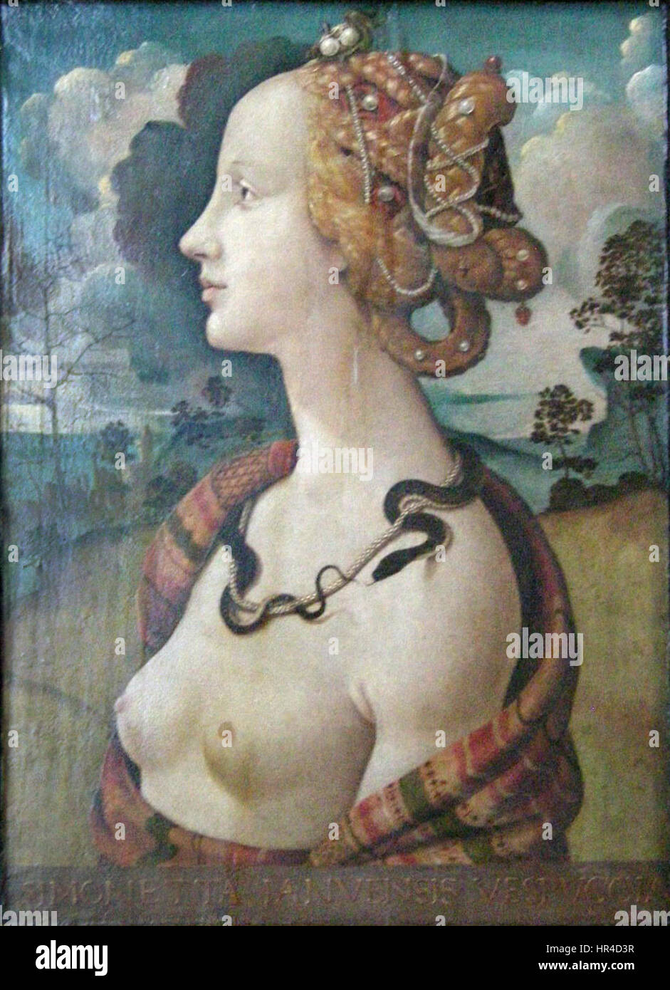 Piero di Cosimo, Ritratto di simonetta vespucci Banque D'Images