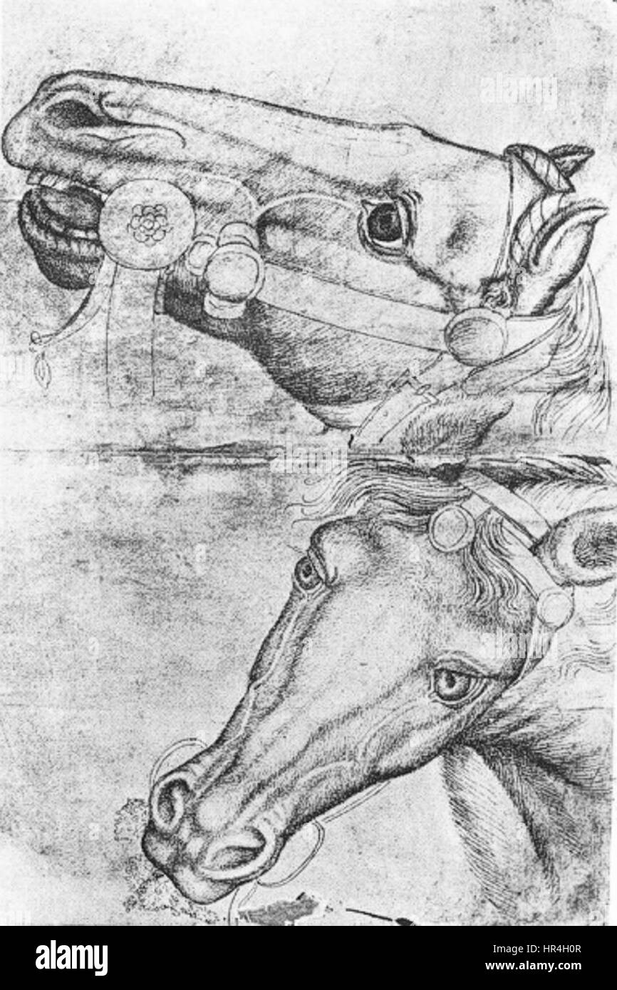 Pisanello, cavalli Banque D'Images