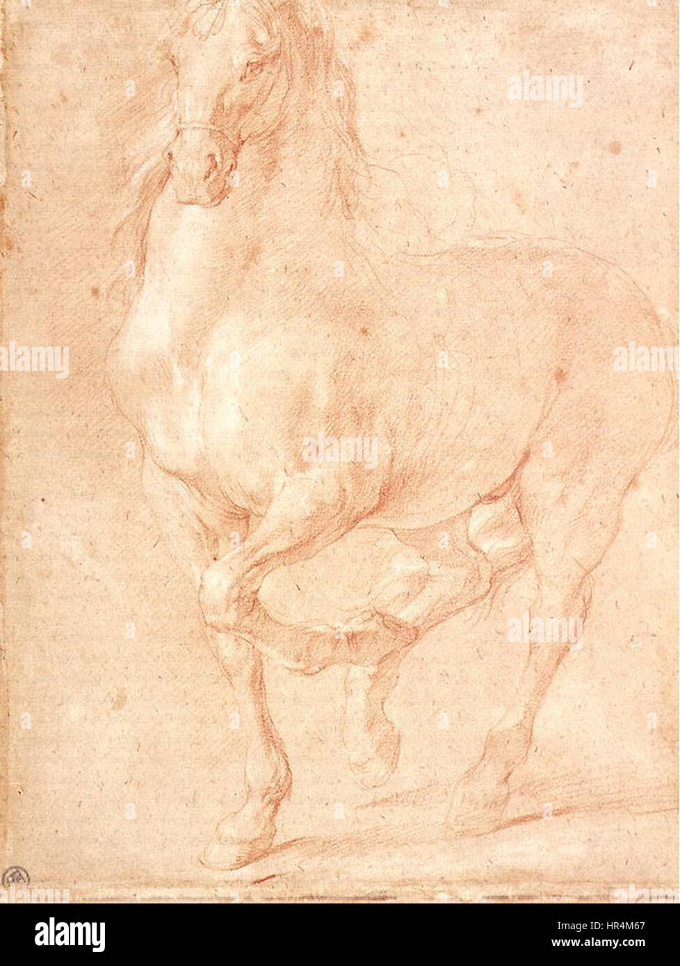 Pierre Puget - Etude d'un cheval - WGA18480 Banque D'Images