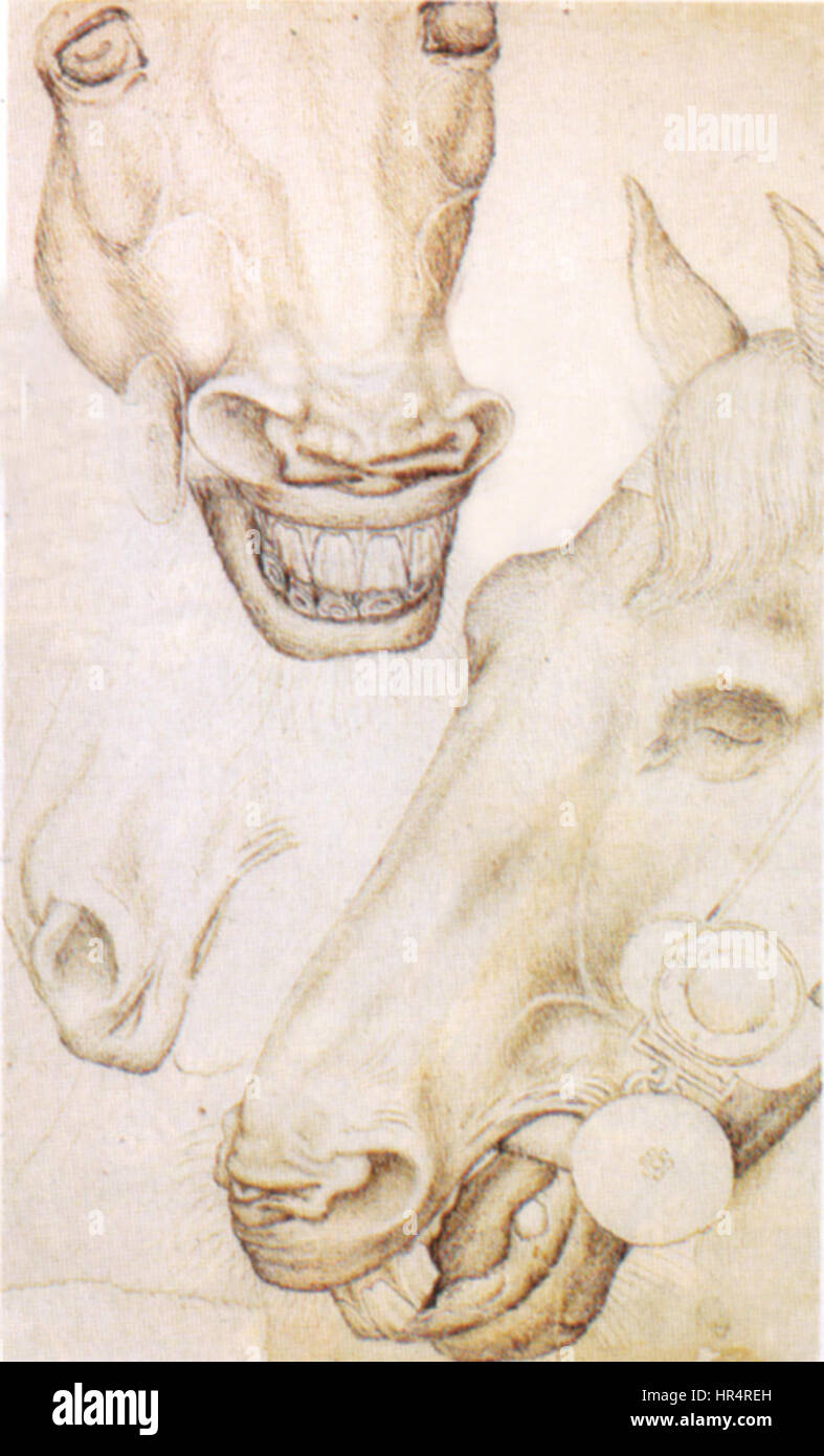 Pisanello, teste di cavallo, vers 1430, le cabinet des dessins Banque D'Images