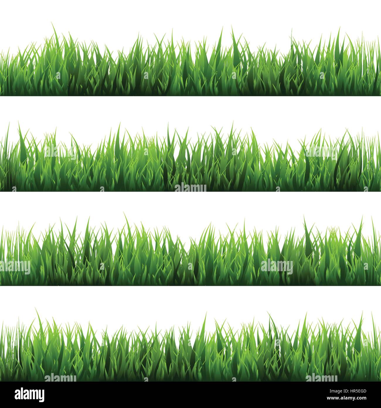 Grass isolated on white. Pré Vert. Arrière-plan de la nature. Le printemps, l'heure d'été. Illustration de Vecteur