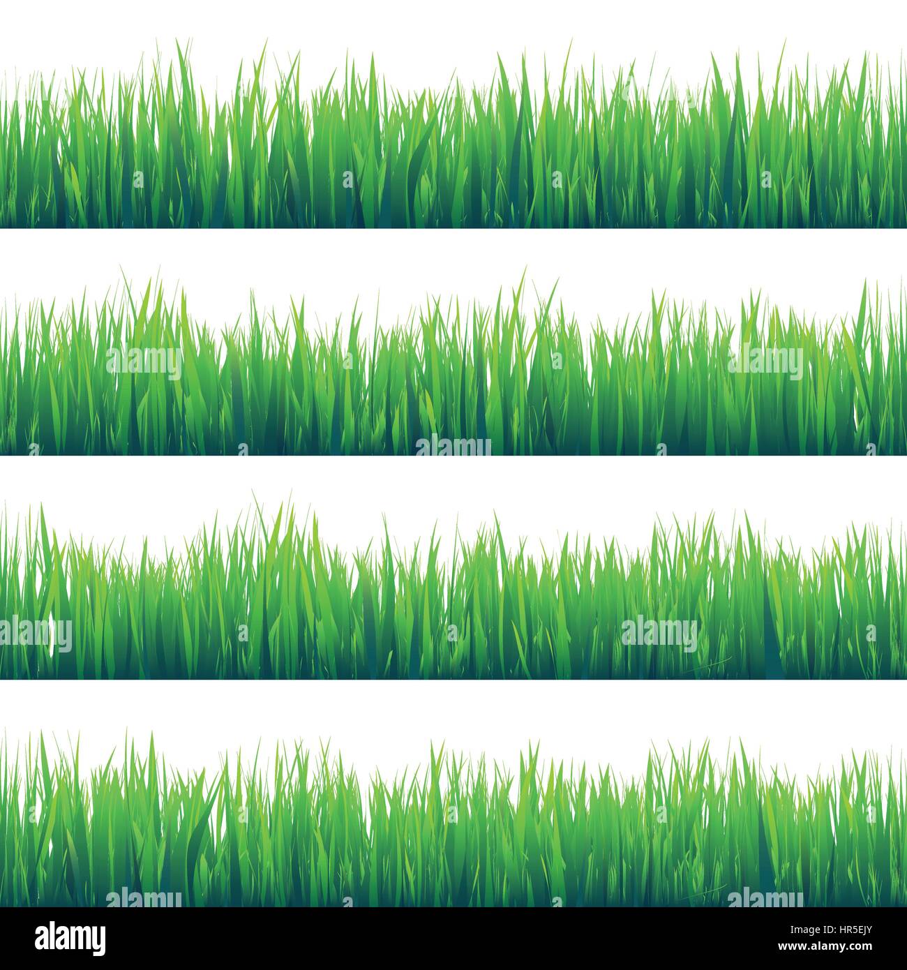 Grass isolated on white. Pré Vert. Arrière-plan de la nature. Le printemps, l'heure d'été. Illustration de Vecteur
